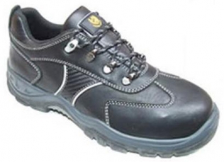p_safety_209